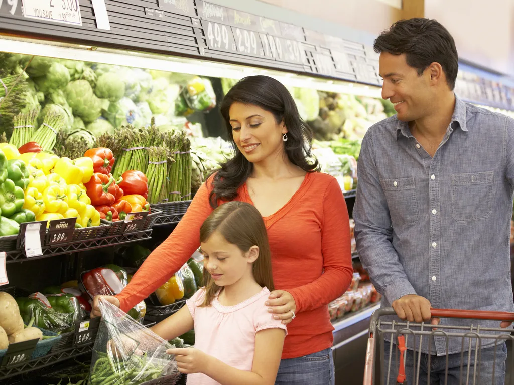Find Out About TANF Benefits