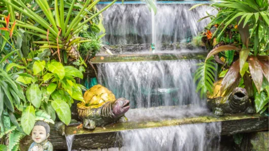 How to Start a Water Garden